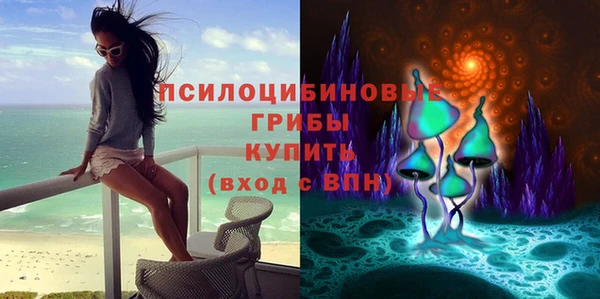 дживик Каменск-Шахтинский