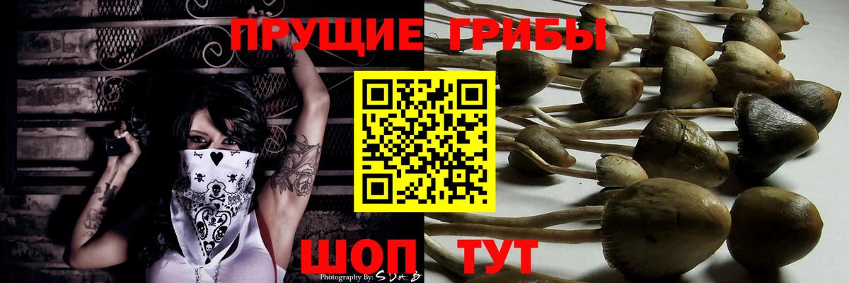 Галлюциногенные грибы Magic Shrooms  Вход с VPN  где продают наркотики  Свободный  Галлюциногенные грибы Cubensis 