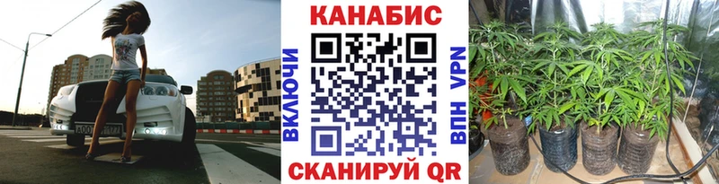 МАРИХУАНА семена  Свободный 